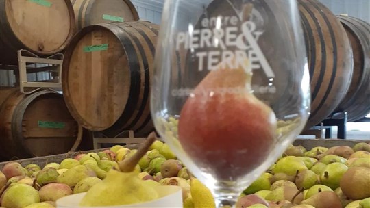 Le Bloc Québécois milite pour une suspension de taxe pour les producteurs de vin d'érable et de fruits 